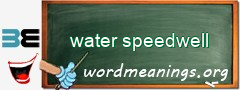 WordMeaning blackboard for water speedwell